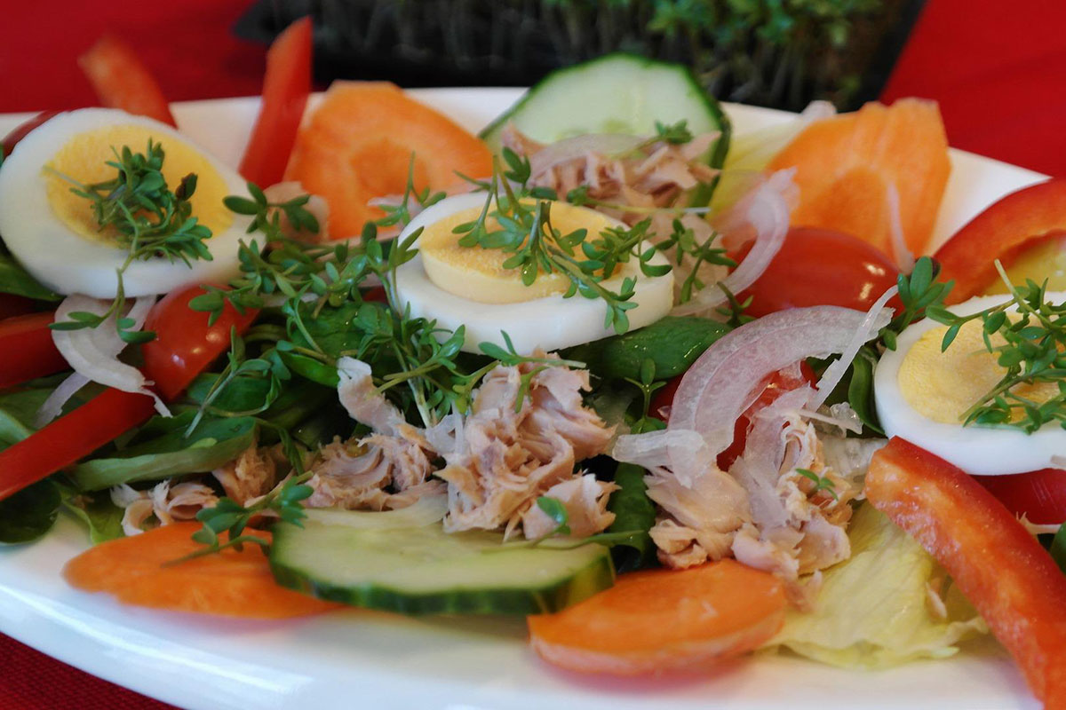 האם מותר לאישה בהריון לצרוך טונה?