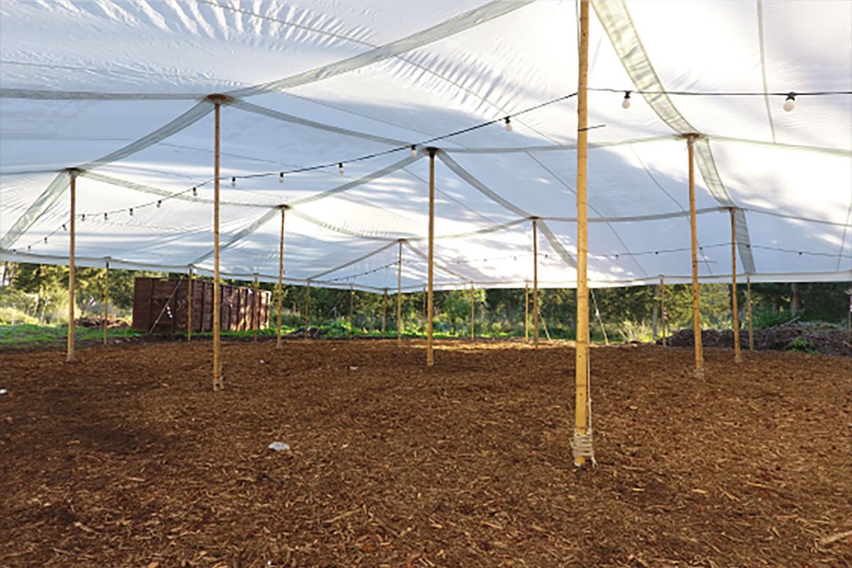 השכרת רשת צל – נעים להכיר