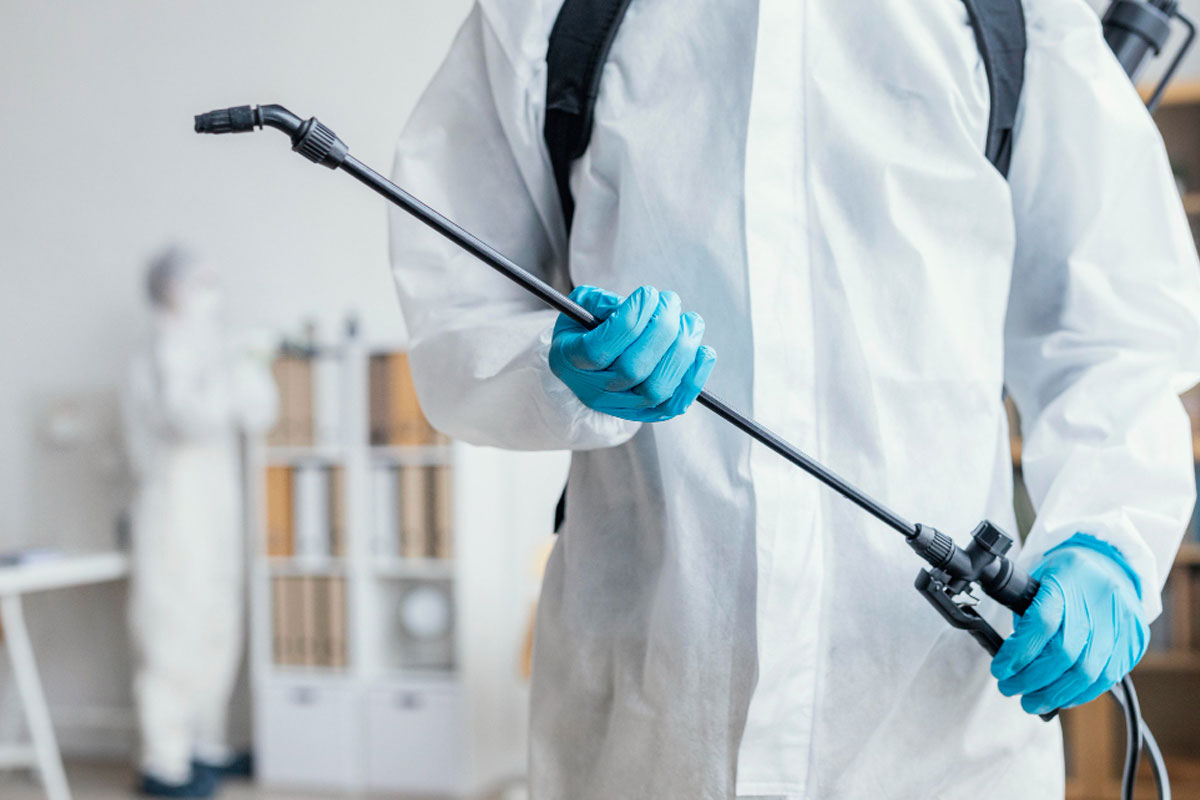 הטיפול שעושה העירייה נגד מזיקים בעיר חדרה