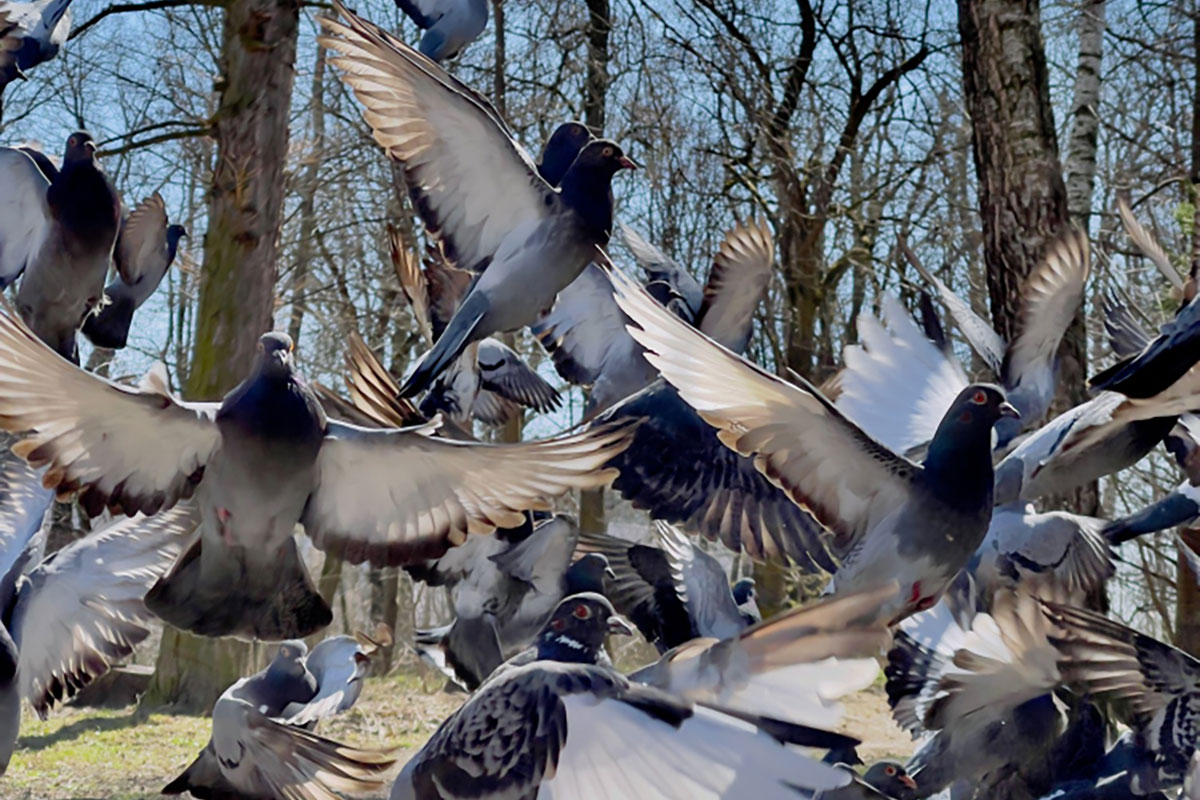 פחד ופוביה מיונים: כל הנזקים והפתרונות
