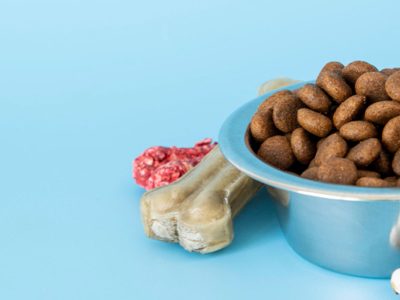 איך לבחור מזון איכותי לחיית המחמד שלך