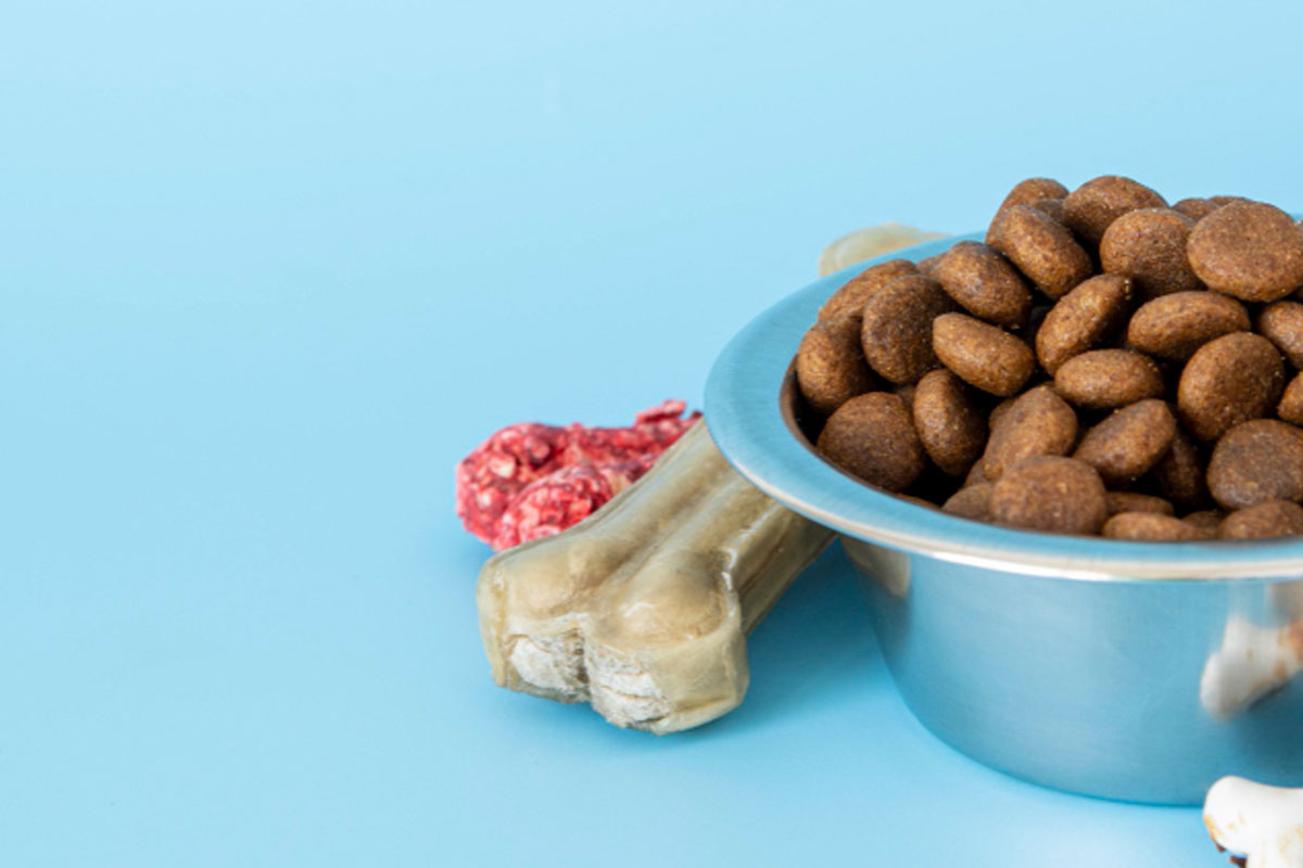 איך לבחור מזון איכותי לחיית המחמד שלך